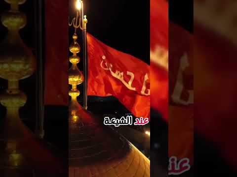 معنى الرقم ٣١٣ عند الشيعة والسنة القرآن الكريم اسلاميات الامام المهدي ثقافة عامة ثقافة