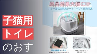 子猫用トイレのおすすめ人気ランキング8選