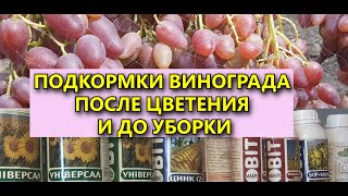 ПОДКОРМКА ВИНОГРАДА ПОСЛЕ ЦВЕТЕНИЯ И ДО УБОРКИ