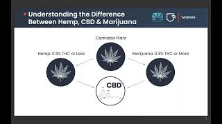The State of Higher Risk Due Diligence: Cannabis Banking & Beyond