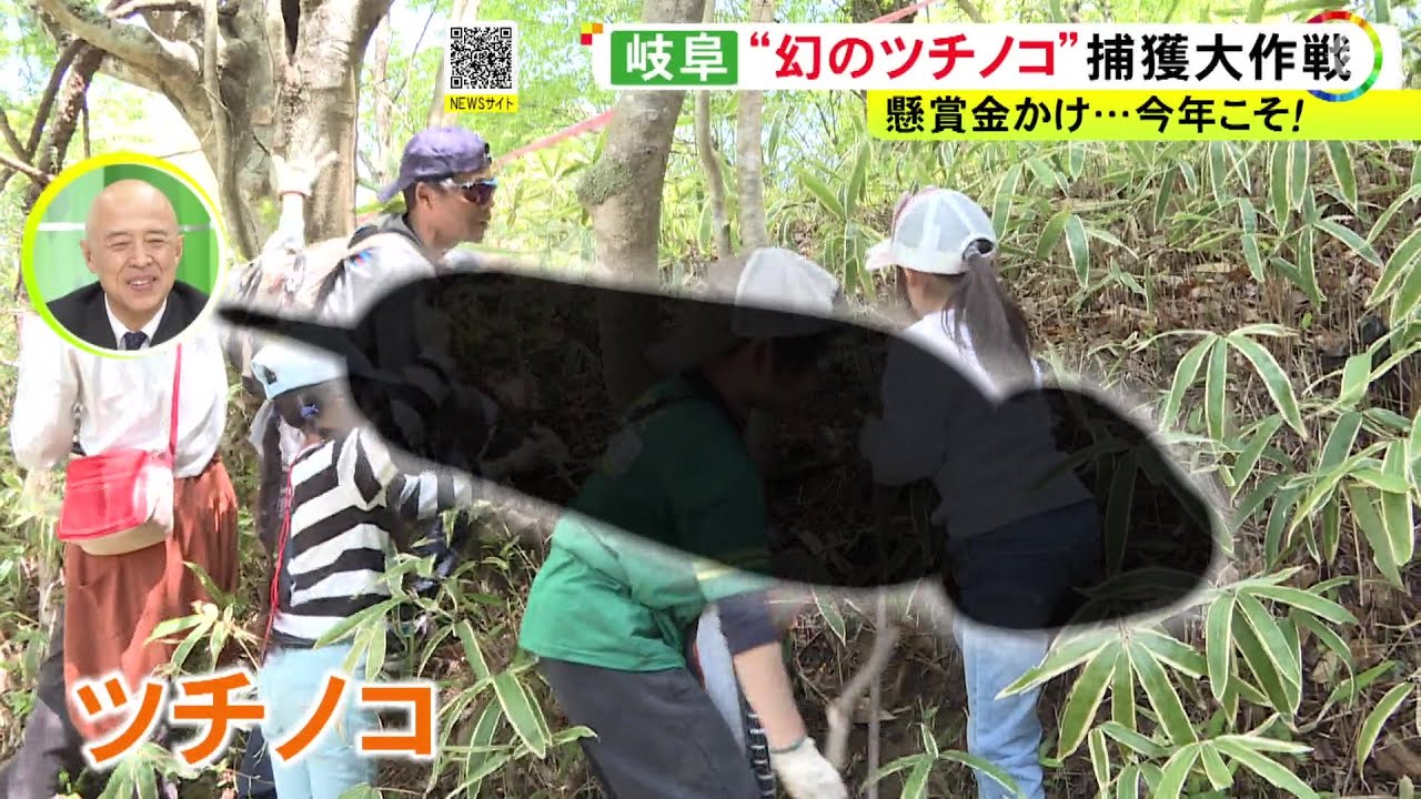 幻のツチノコを捕獲せよ!! 全国各地で目撃多発!ツチノコは必ずいる!! m29782105571_1.jpg?1640828298