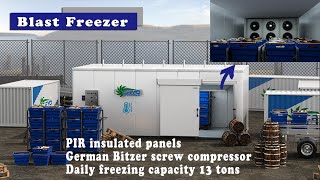 4 minutes to give you 3 different cold room designs - Cold Storage 3D screenshot 1