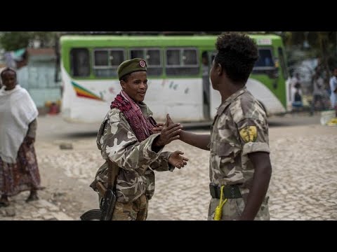 Rebel forces in Ethiopia's Tigray launch new offensive