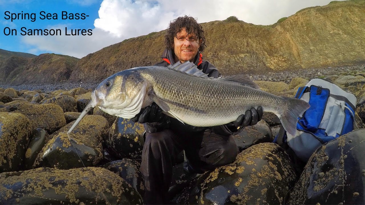 Spring Sea Bass Lure Fishing Big Sea Bass On Samson Lures Pt 2 YouTube