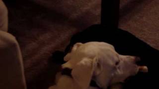 MOV03362.MPG