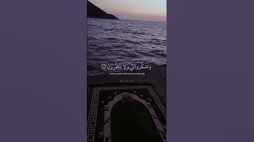 آية من سورة ( البقرة ) للقارئ إسلام صبحي #ترند #قرآن #quotes #quran