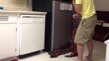 The great mouse chase part one
