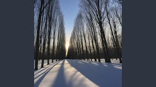 Placid light
