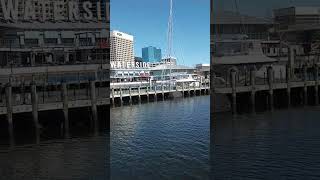 Checking out Waterside District in Downtown Norfolk by Yacht