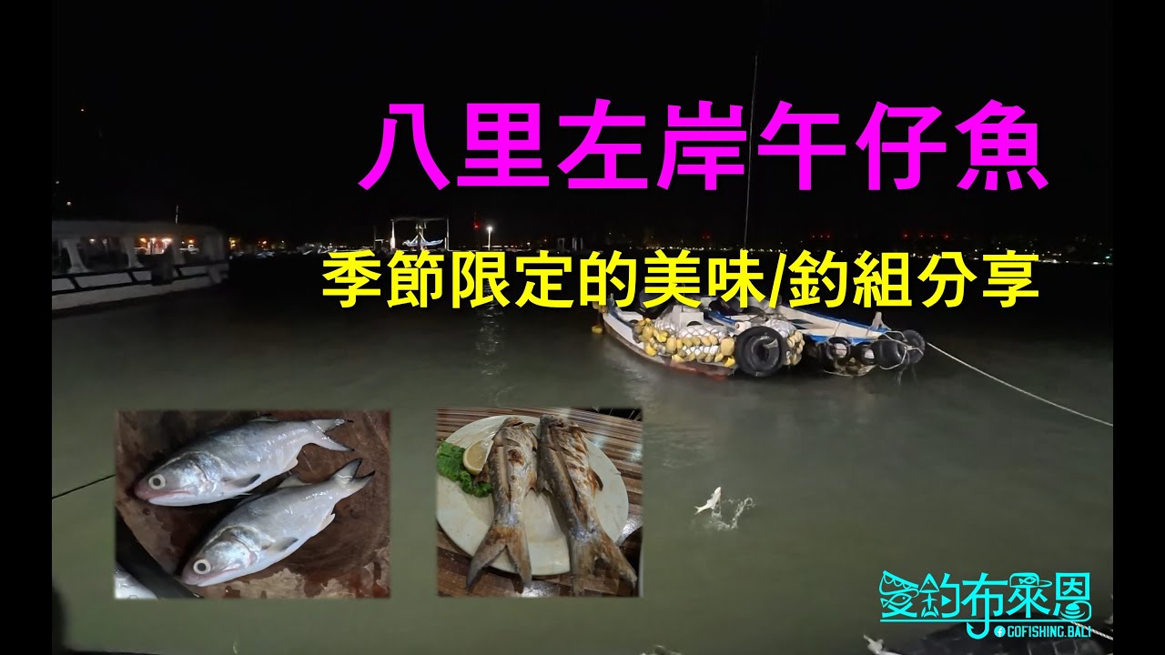 學釣魚#43 八里左岸季節限定的美味,午仔魚的釣法分享 #夜釣 #四絲馬鮁 #黑鯛 #海口鮮 #美食 縮圖