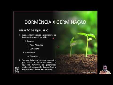 Vídeo: Diferença Entre Quiescência E Dormência