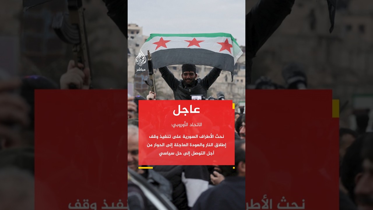 الاتحاد الأوروبي: ندعو لوقف الأعمال العدائية في حلب وحماية المدنيين وتسهيل وصول المساعدات الإنسانية
