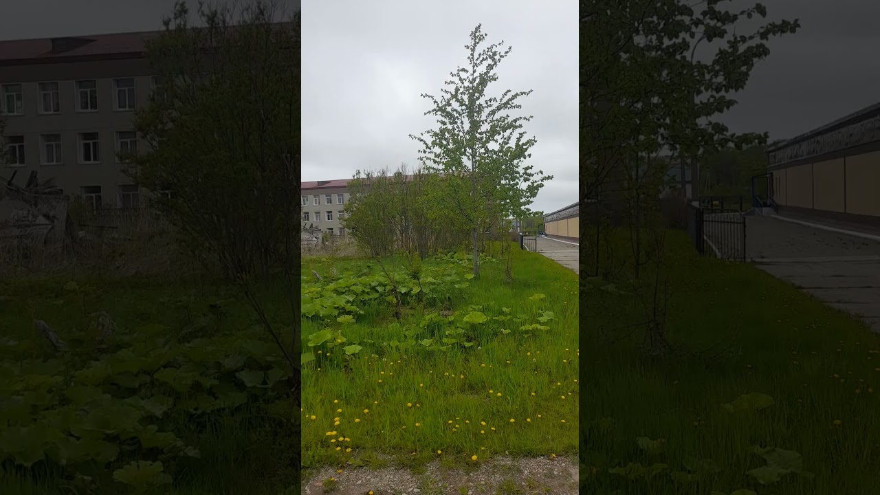 Улица за школой села Горнозаводск о.Сахалин 