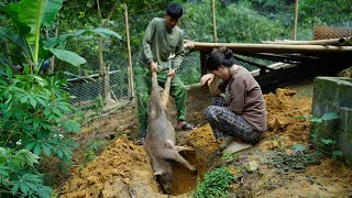 Disease Outbreak - 1 Year of Effort in Raising Livestock is Lost