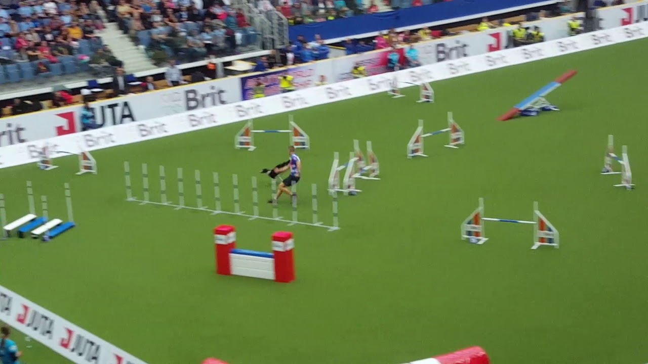 AWC 2017 IKEA Pavol Vakonic Agility Large Individual, Liberec