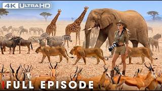 A Journey Across Africa: Giants of the Savannah | Nature Animal Documentary
