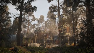 Ue5 Timelapse 230206 Dmz Forest