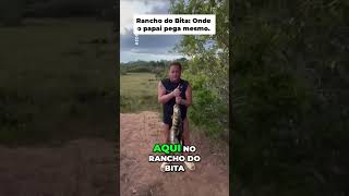 Leonardo mostra que é o rei da pesca  #memes #podcastcortesoficial #humor