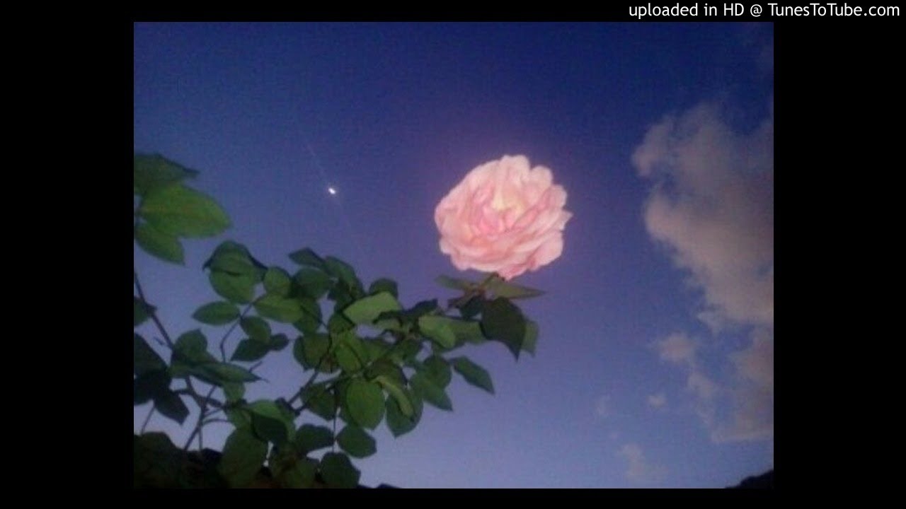 *FREE* SAURON X $EGADOR TYPE BEAT "SUNSET" (PROD. $EGADOR)