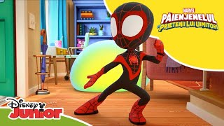 🧪 Eperiment eșuat | Păienjenelul Marvel și prietenii lui uimitori | Disney Junior România