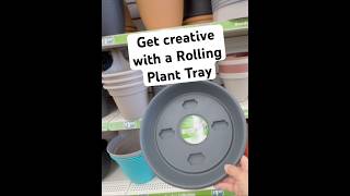 Easy Creative DIY using a DT Rolling Plant Tray #diy #garden #shorts #new