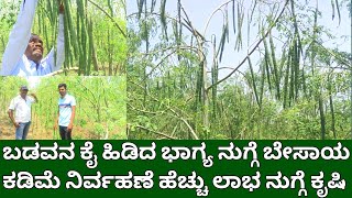 ಬಡವನ ಕೈ ಹಿಡಿದ ಭಾಗ್ಯ ನುಗ್ಗೆ | ಕಡಿಮೆ ನಿರ್ವಹಣೆ ಹೆಚ್ಚು ಲಾಭ ನುಗ್ಗೆ ಕೃಷಿ | drumstick cultivation | moringa