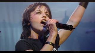 Animal Instinct - The Cranberries - Subtítulos Inglés - Español