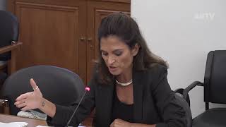 10-10-2024 | Audição da Provedora de Justiça | Isabel Moreira
