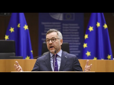 საქართველოს ხელისუფლებამ ძალიან ცოტა გააკეთა იმისთვის, რომ კანდიდატის სტატუსი დაემსახურებინა- როთი