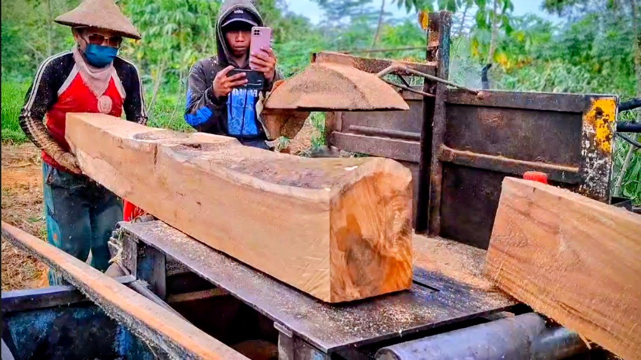 Penggergajian kayu Berat dan padat !!