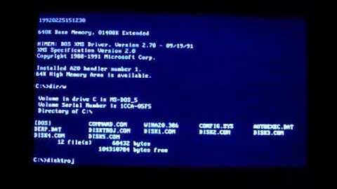 DiskKiller DOS Virus