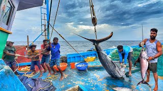 Amazing! The Ninth Day We Stayed In The Deep Sea And Caught A Lot Of Big Fishes | Day-09 | S07-EP09