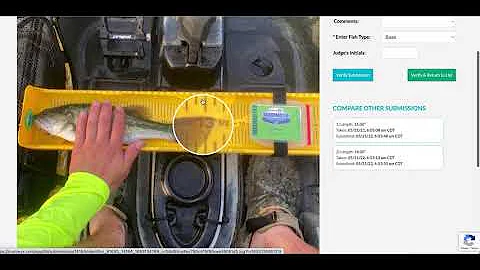 TourneyX NEW Judging Layout