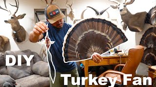 DIY Turkey Fan (Easy And Simple)