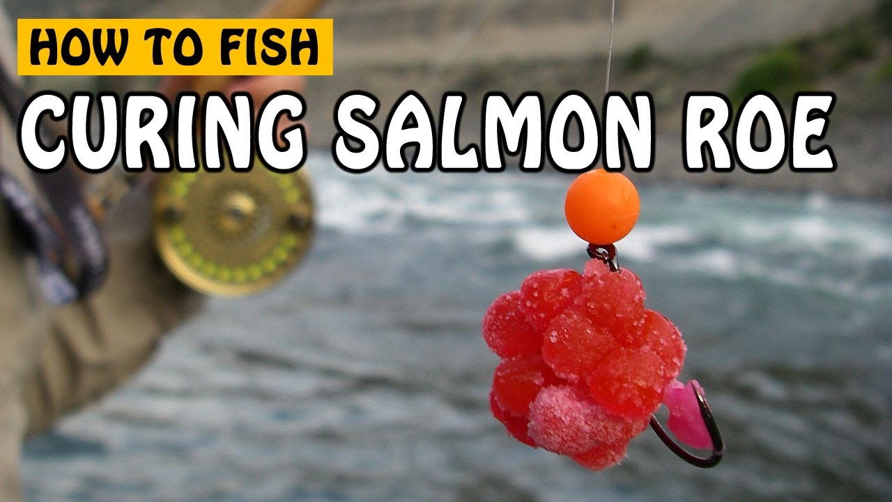 How to Cure Salmon Roe for Bait When Fishing for Salmon and