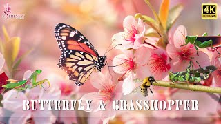 RELAXING JOURNEY 4K  Butterfly & Grasshopper #1 | Stop thinking too much with soothing music