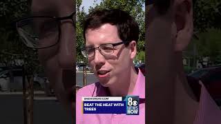 Clark County Distributes Free Trees To Fight Heat
