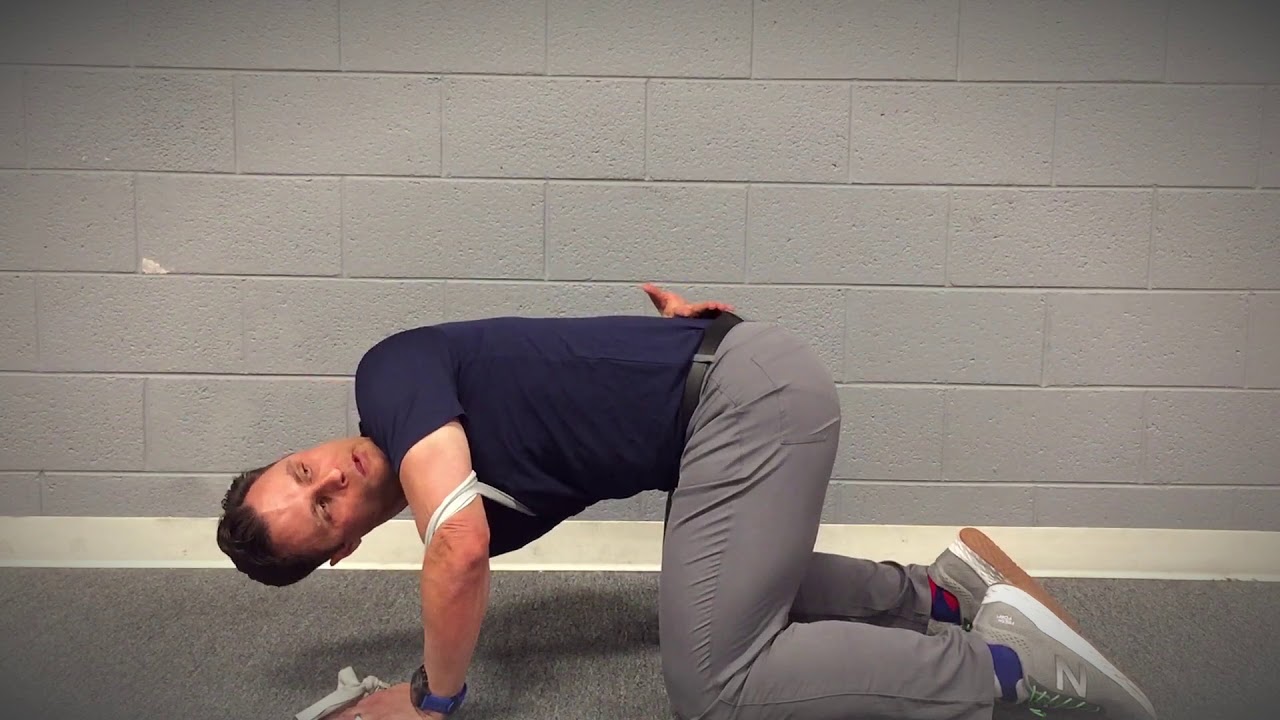 Thoracic Lumbar Spine resisted rotation strengthening from quadruped