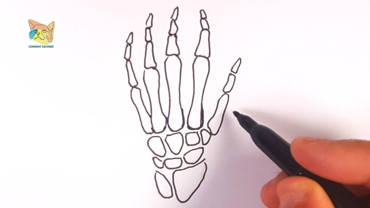 comment dessiner une main de squelette YouTube