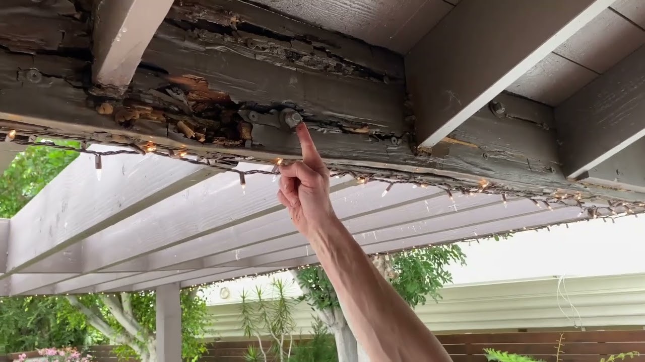 Dangerous Dry Rot: When a San Juan Patio Cover Becomes a Safety Hazard