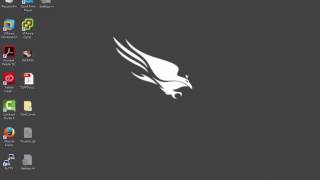 How to Install Falcon Sensor