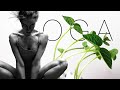 Yoga dancing plant  yoga music meditation  stress relief music