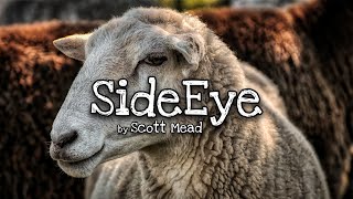 Scott Mead  - SideEye (Official Music Video)