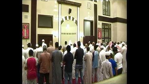 سورة القلم من صلاة القيام ليلة 28 رمضان 1437هـ