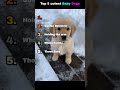 Cute baby Dogs