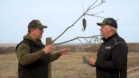 WRC Active Branch - The Anywhere Mock-Scrape Solution