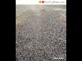 الله ع نعمة الإسلام ♥️♥️