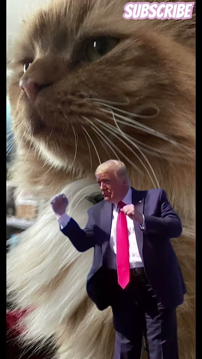 #richard #catlover #comedy #pleasesubscribe