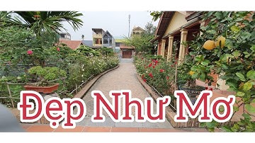 Sân vườn cây cảnh đẹp như mơ tại Hoằng Hóa - Thanh Hóa.