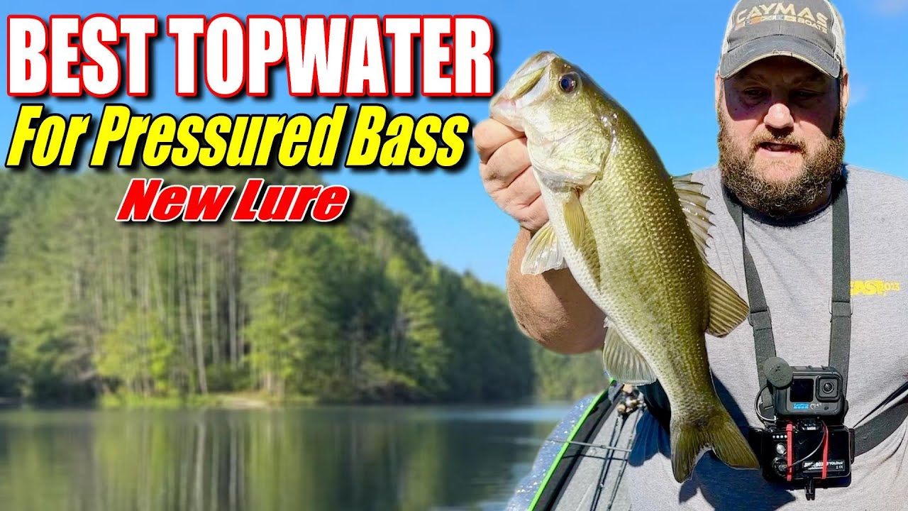 The BEST topwater bait to catch pressured bass!